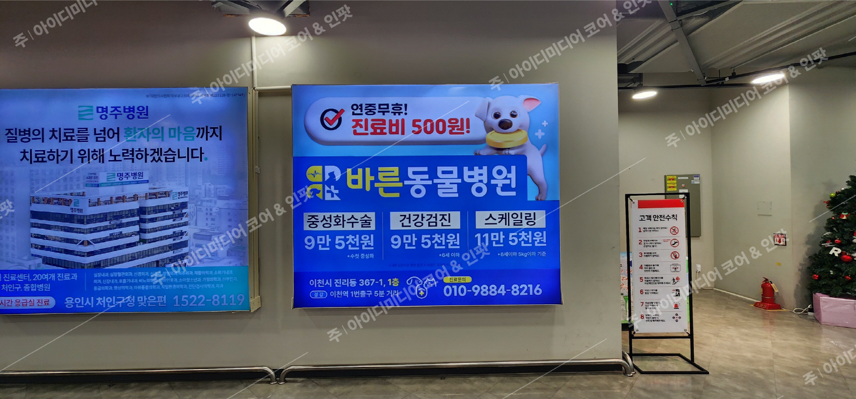 이천바른동물병원