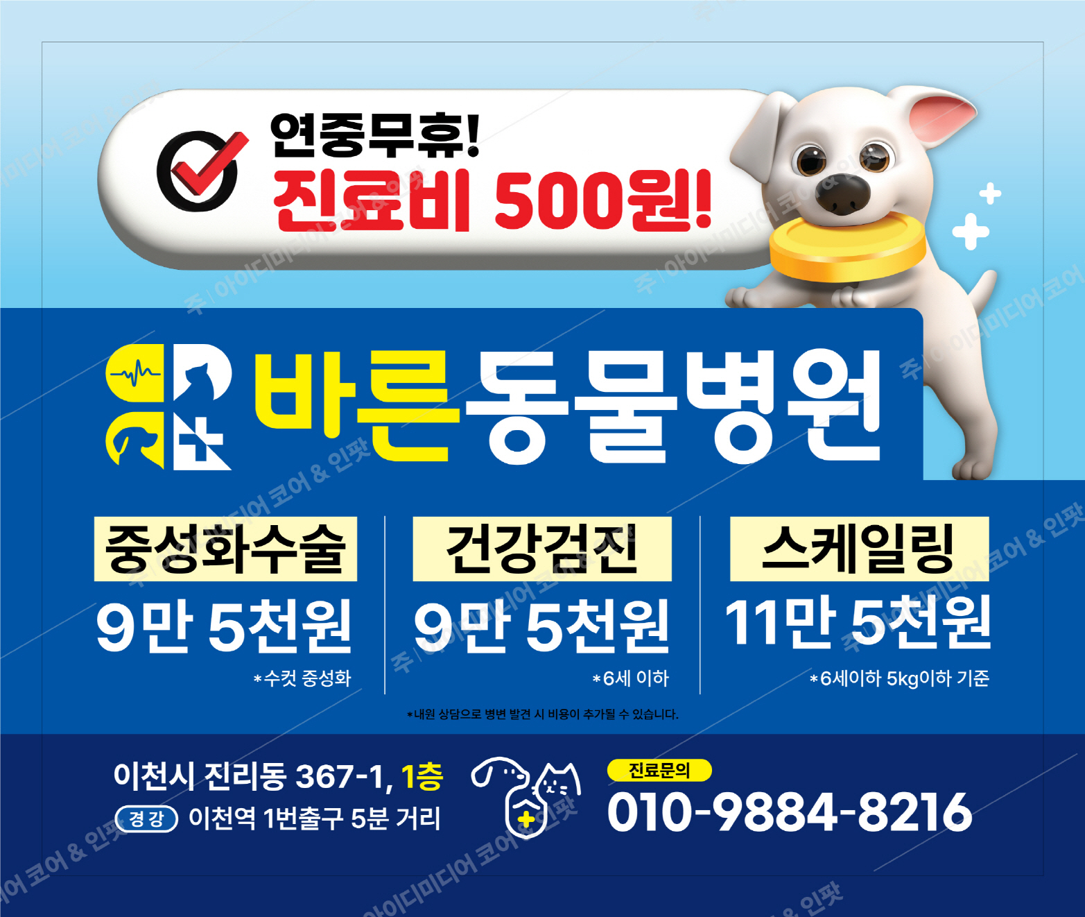 이천바른동물병원 - Image 2