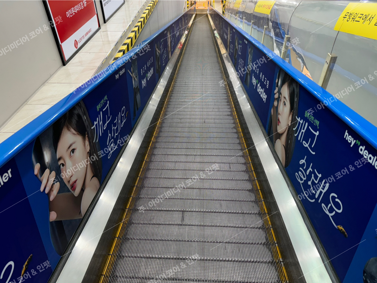 헤이딜러